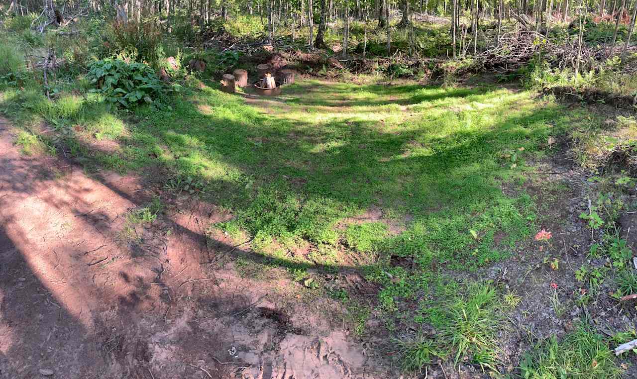 Panoramic of the site. Approximately 30 feet deep and 25 feet wide.