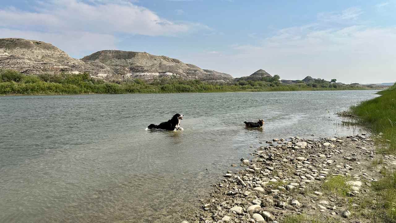 Badlands River View (Drumheller Valley)