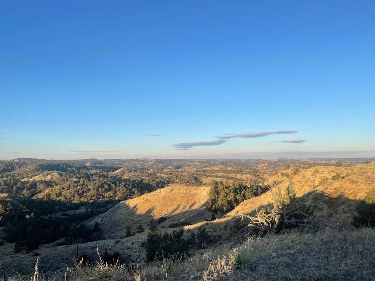 Cottonwood creek campground