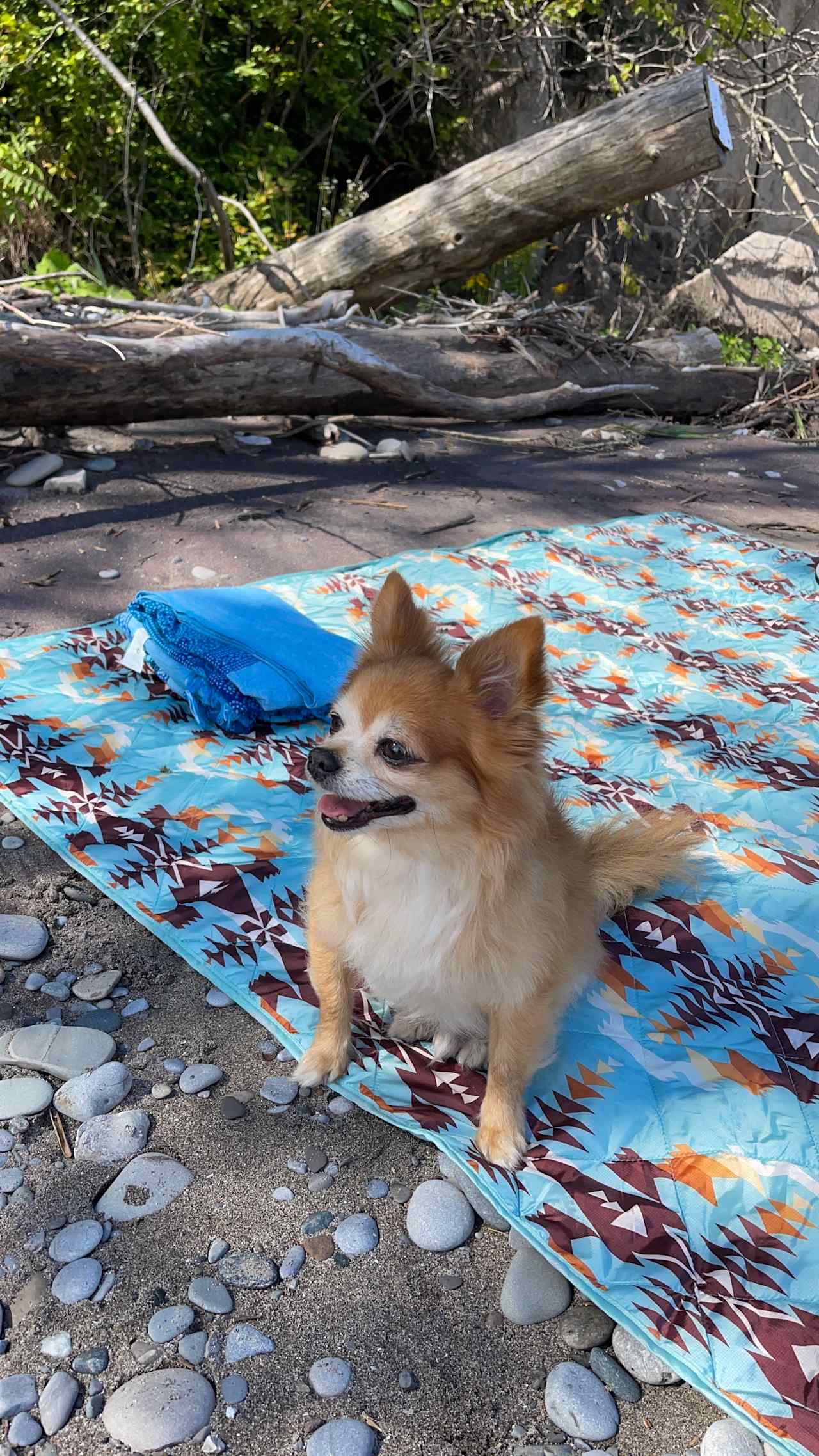 Lake Erie Private Beach Camping