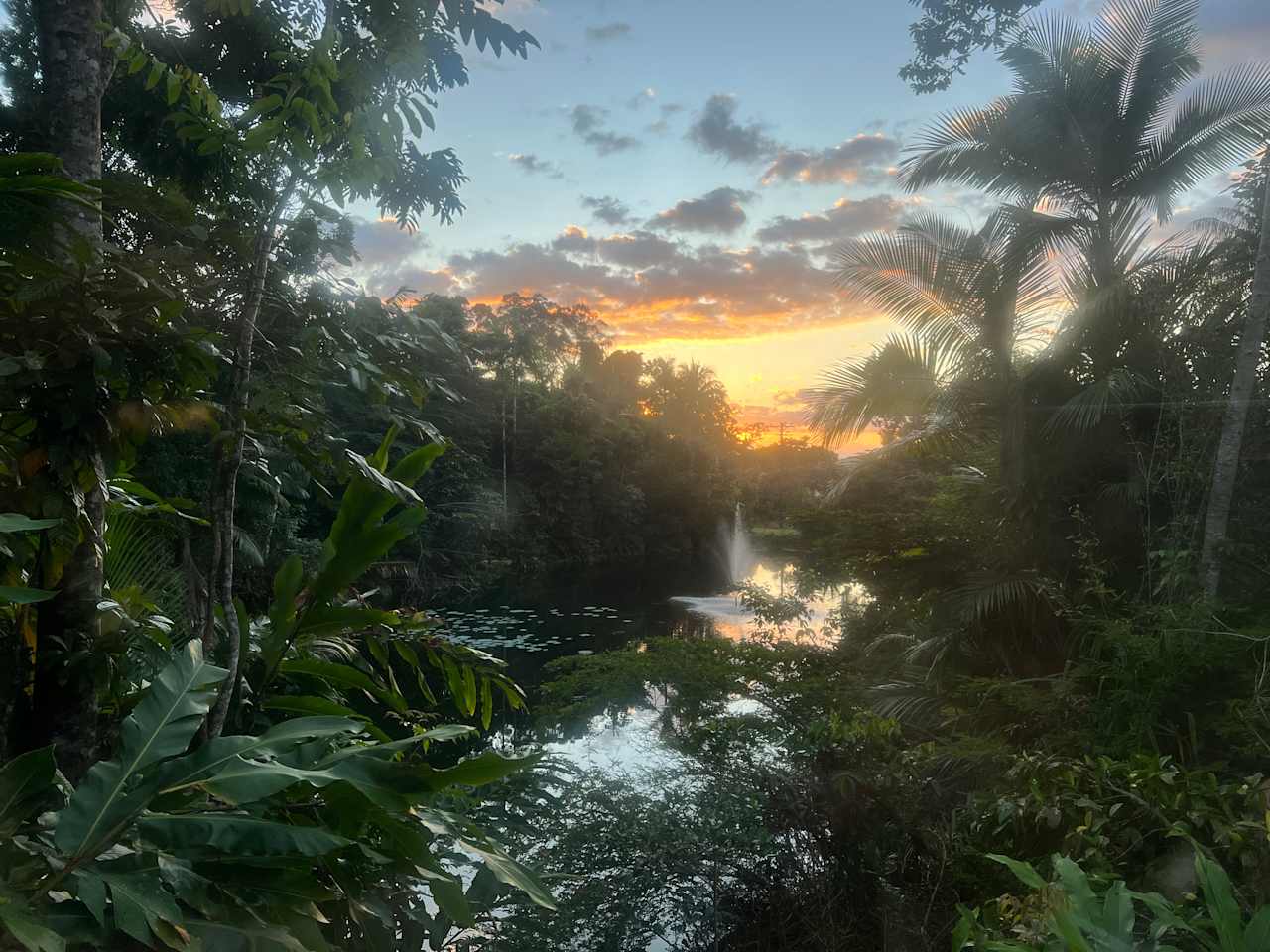 🦋 Rainforest & Tropical Gardens