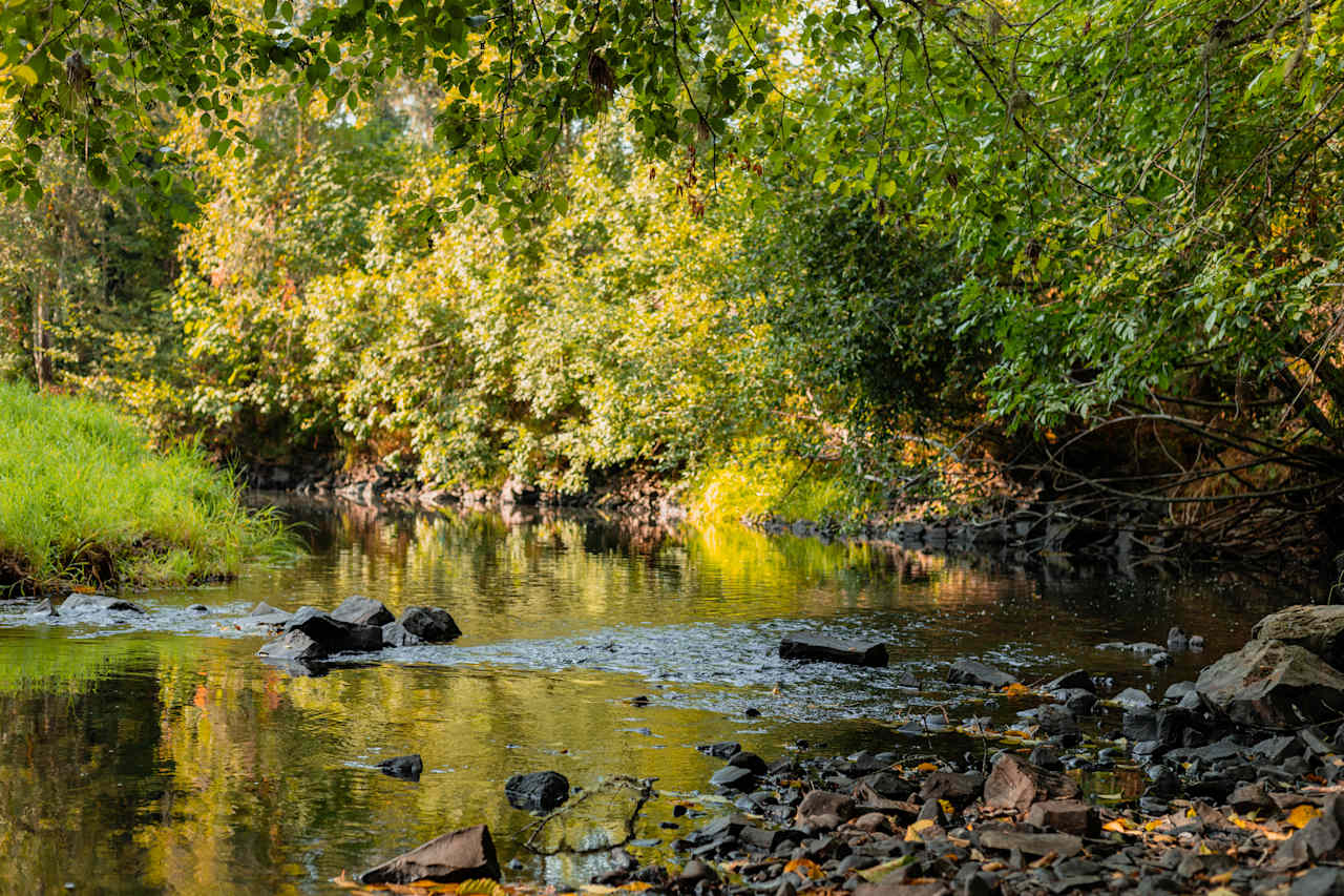 Just a short walk down to the creek! 