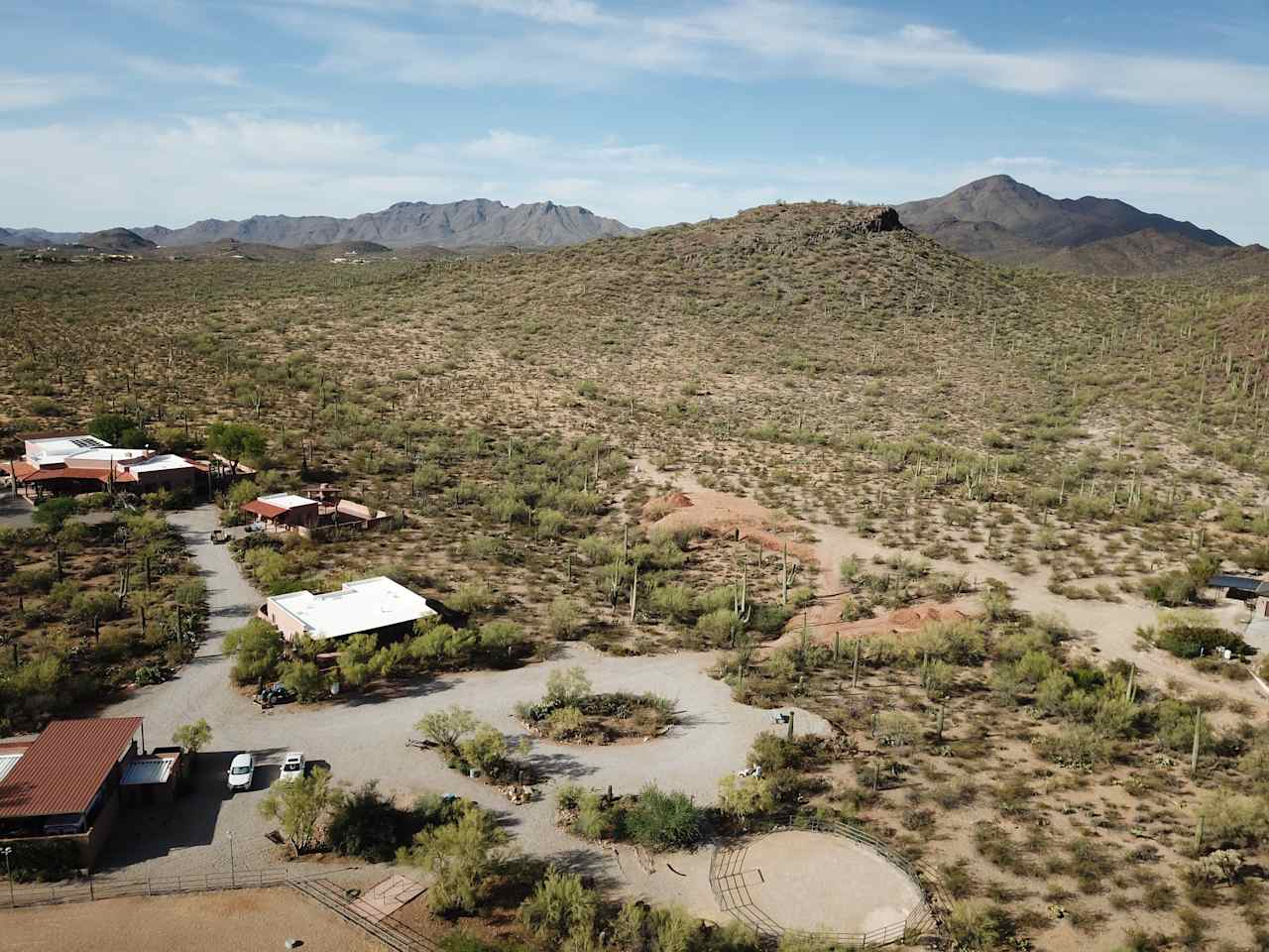 Saguaro View