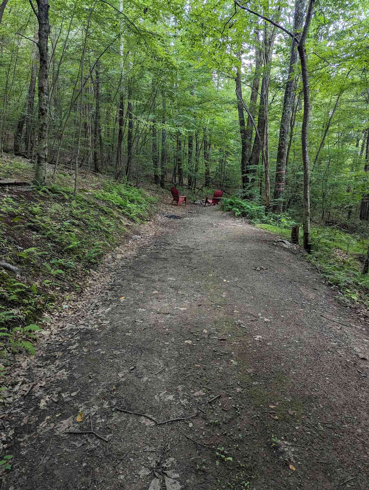 Shenandoah NP Ridge