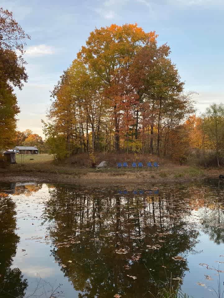 Fall pond 
