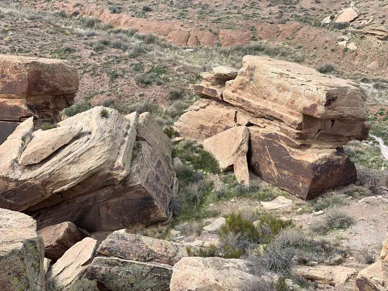 Petrified Forest