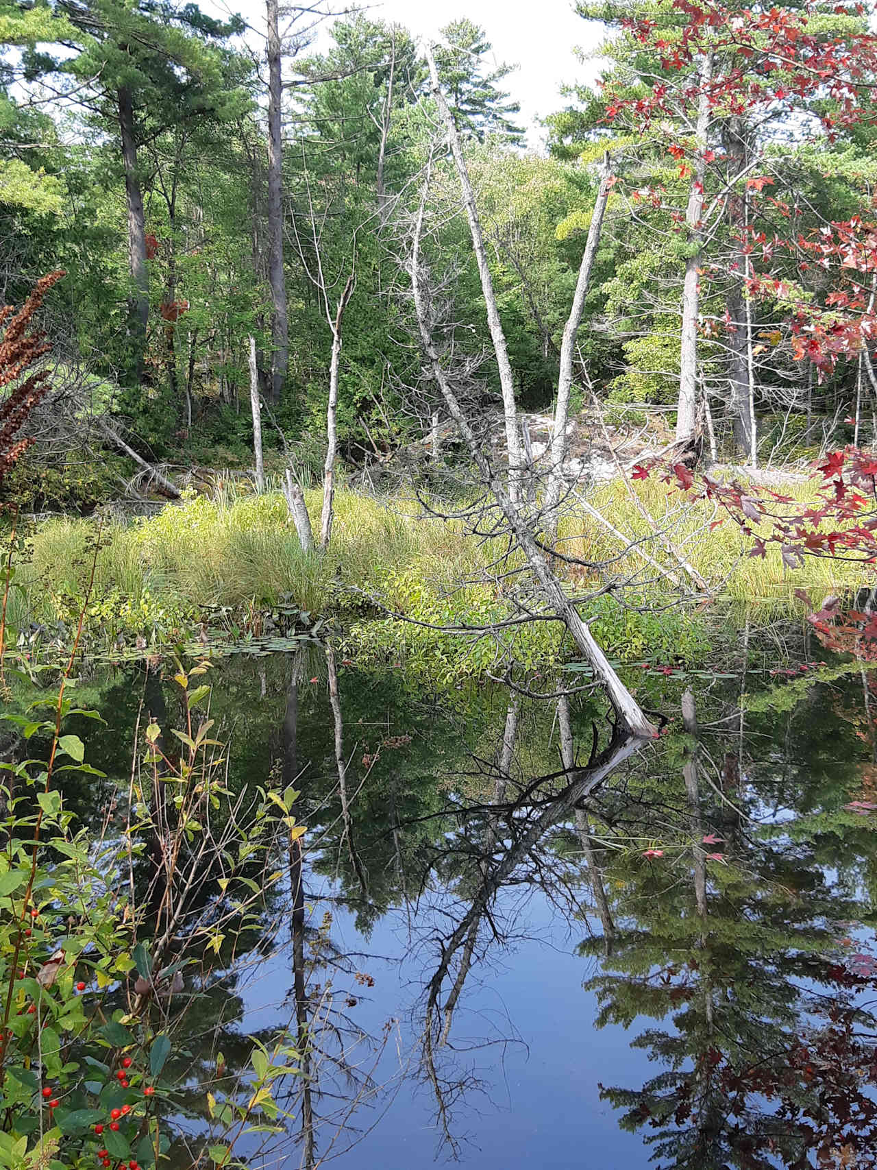 Three Pines Retreat