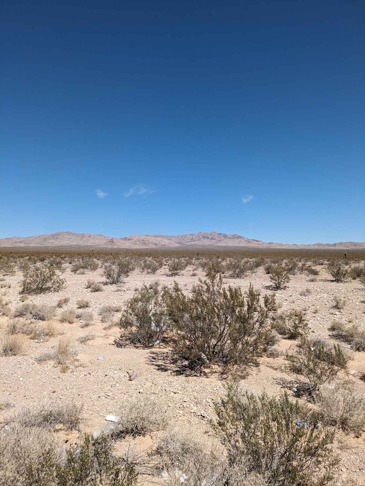 Pahrump Land, Desert Tranquility.