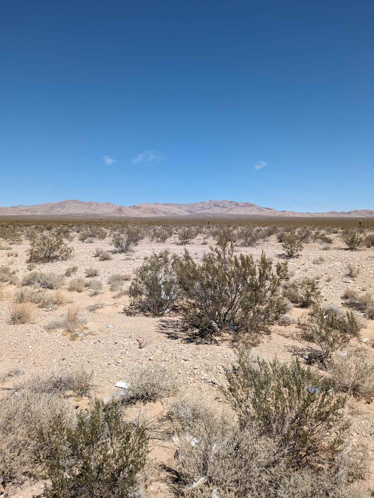 Pahrump Land, Desert Tranquility.