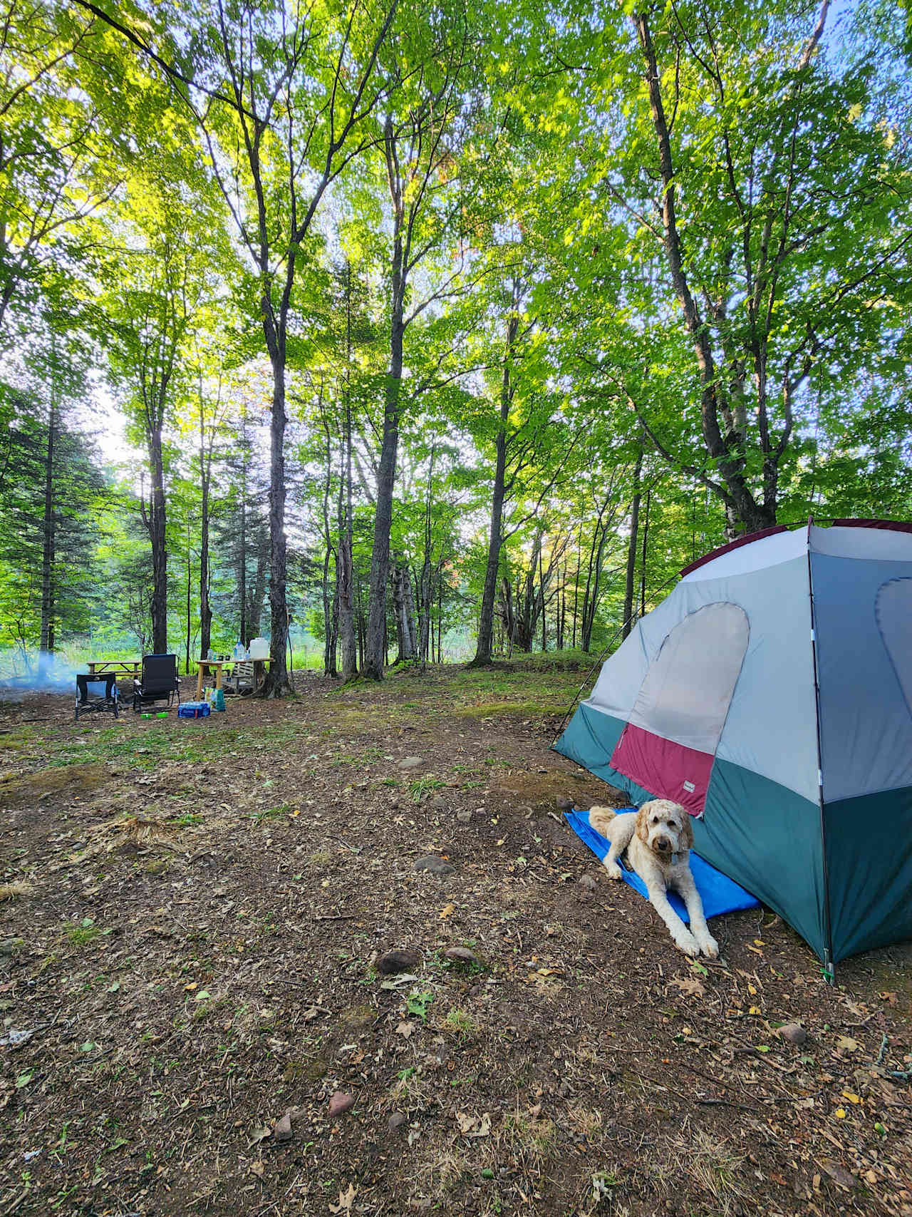 Sylvan Pond Campsite