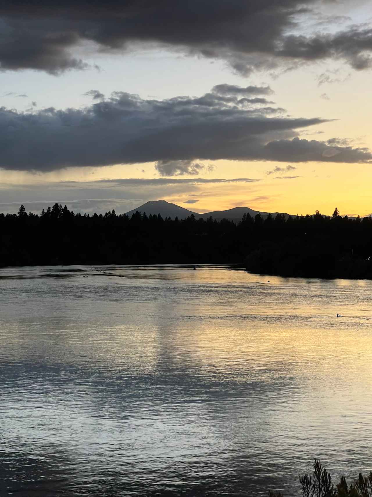 View from river nearby