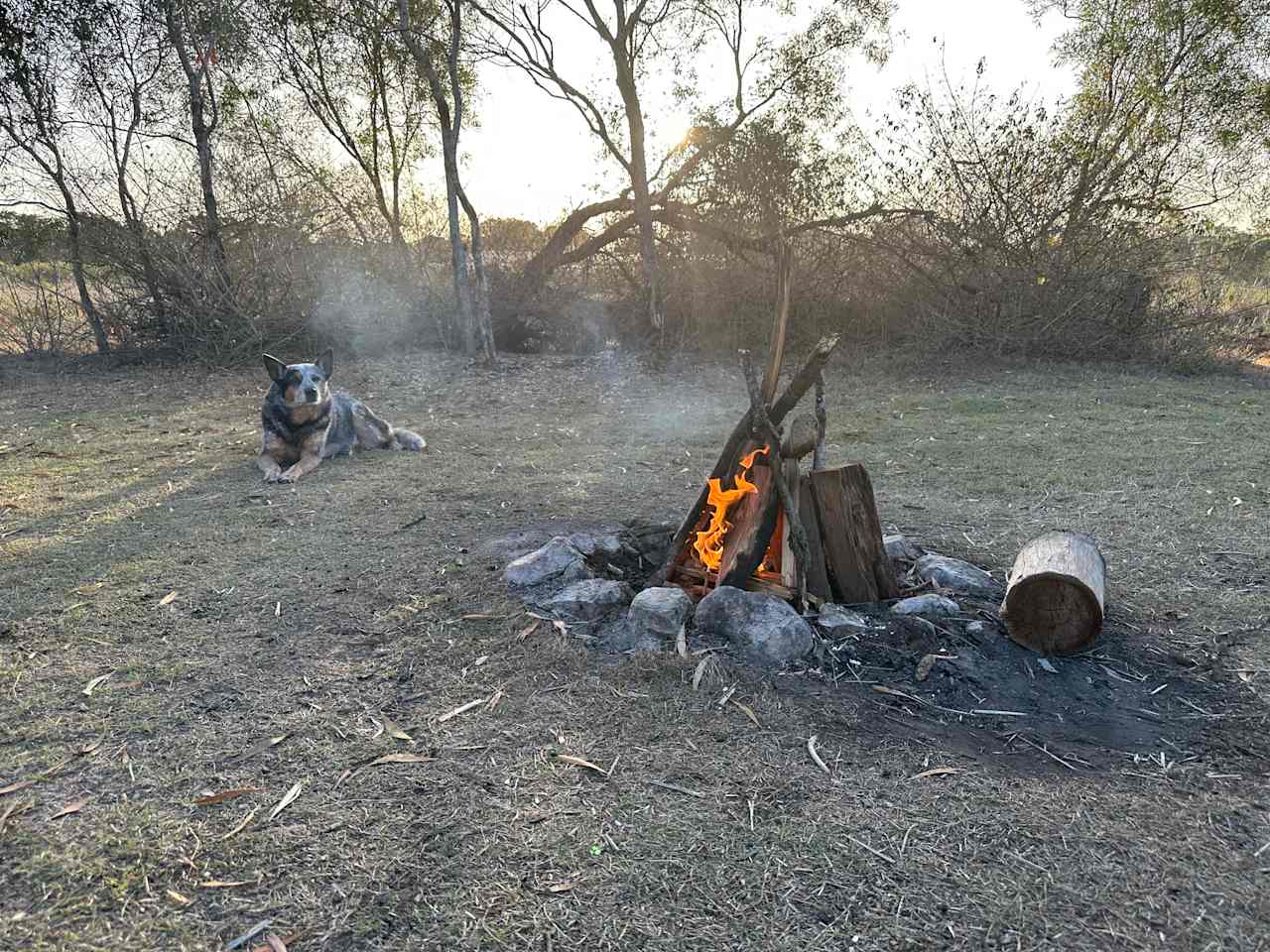 Lowood Nature Camp