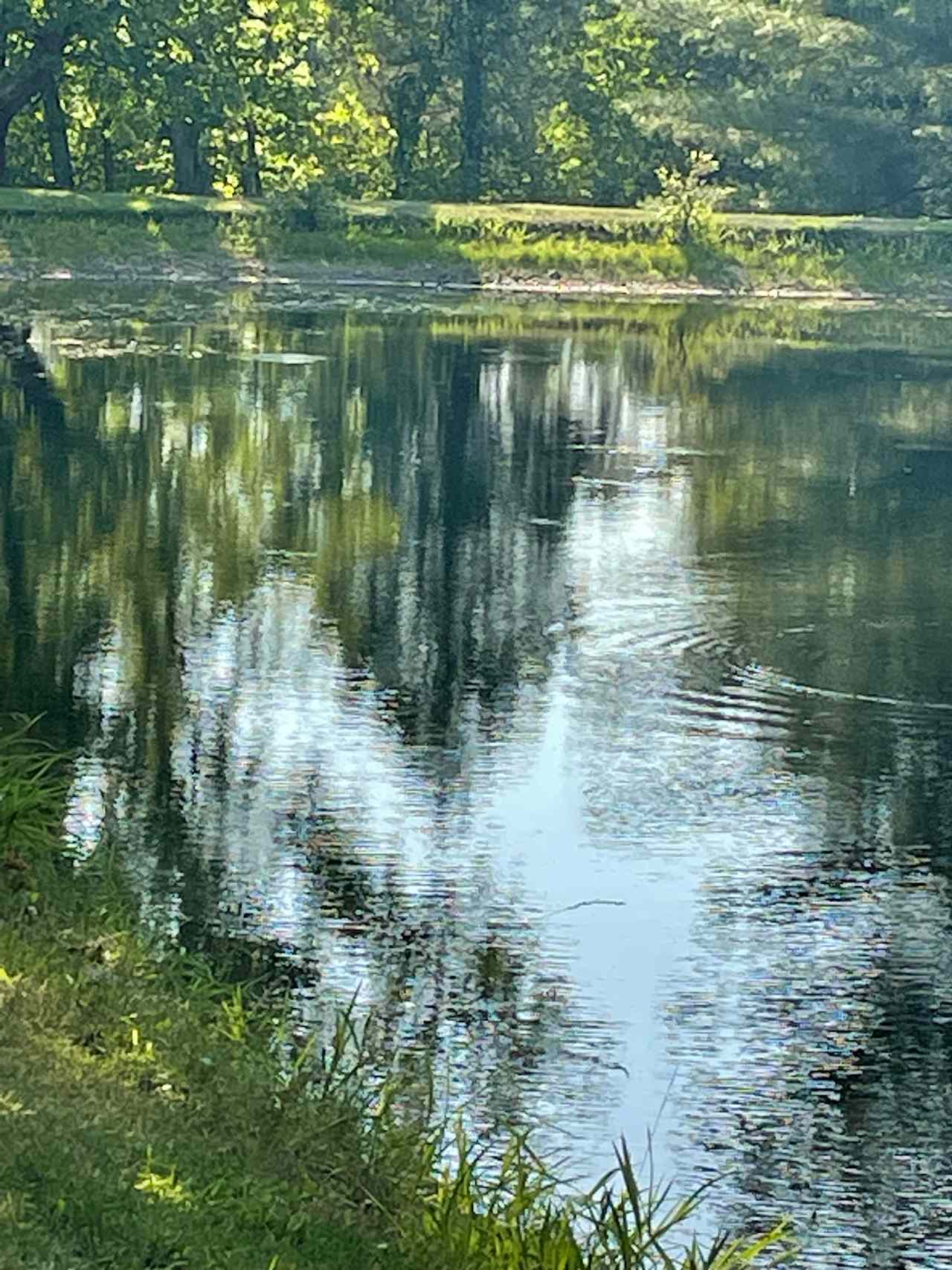 St Louis Co private wildwood farm.