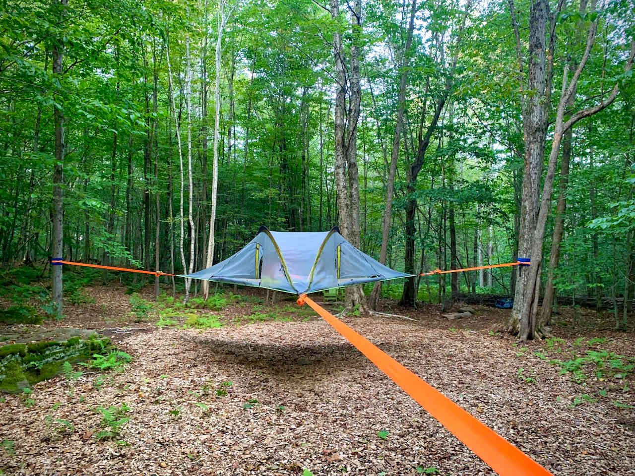 Tree Tent