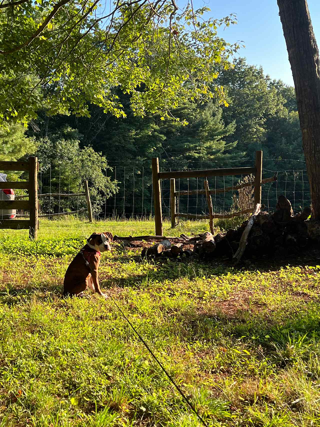 The Lee Farm