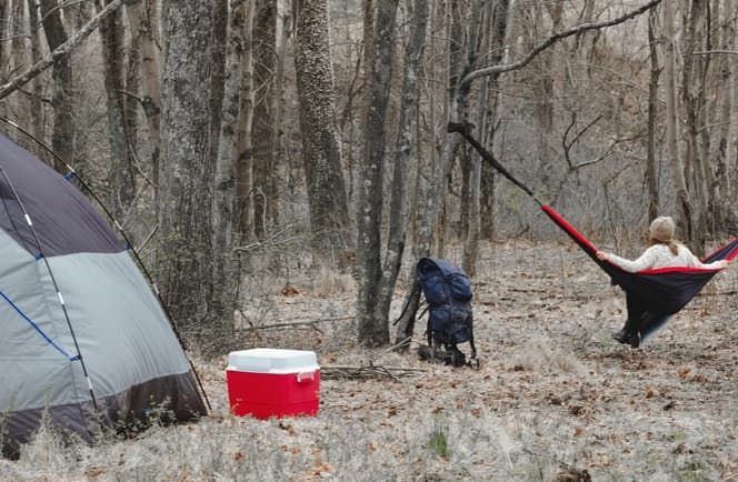 McKee Farm - Treehouses and Camping