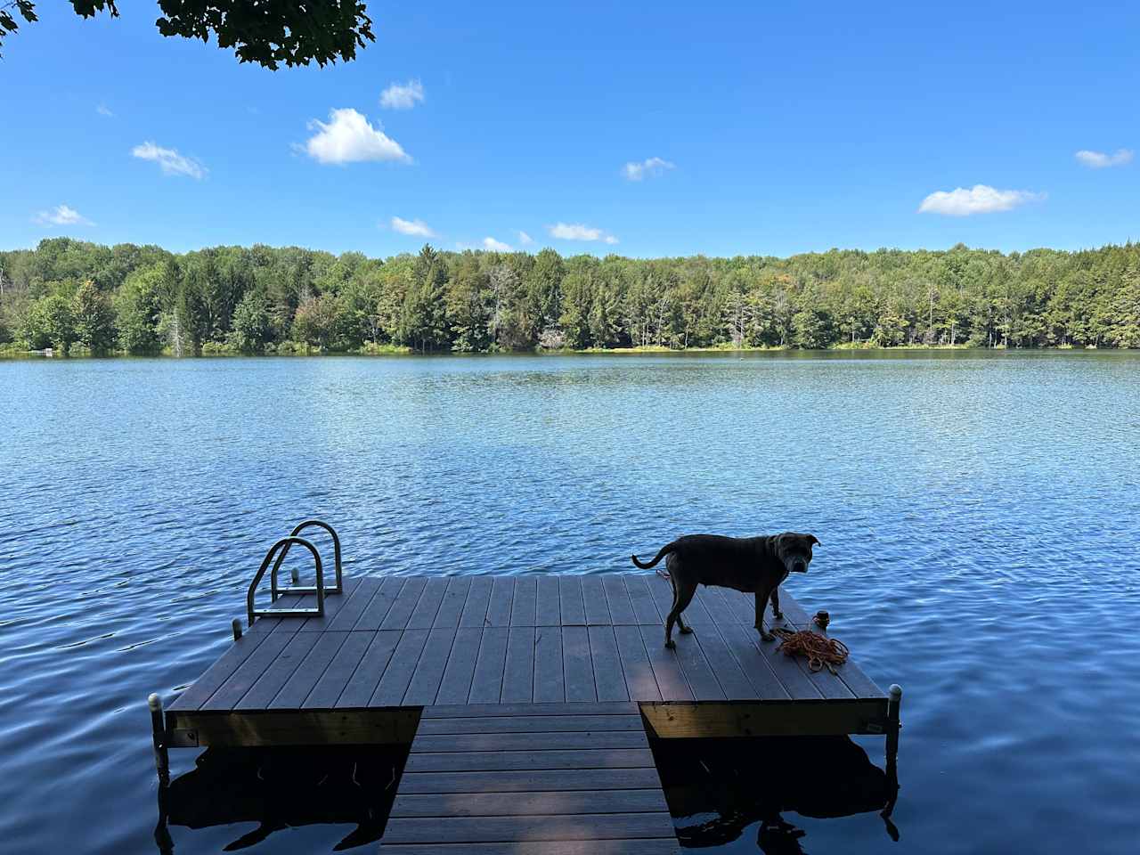 Smyrna Lake Campsite