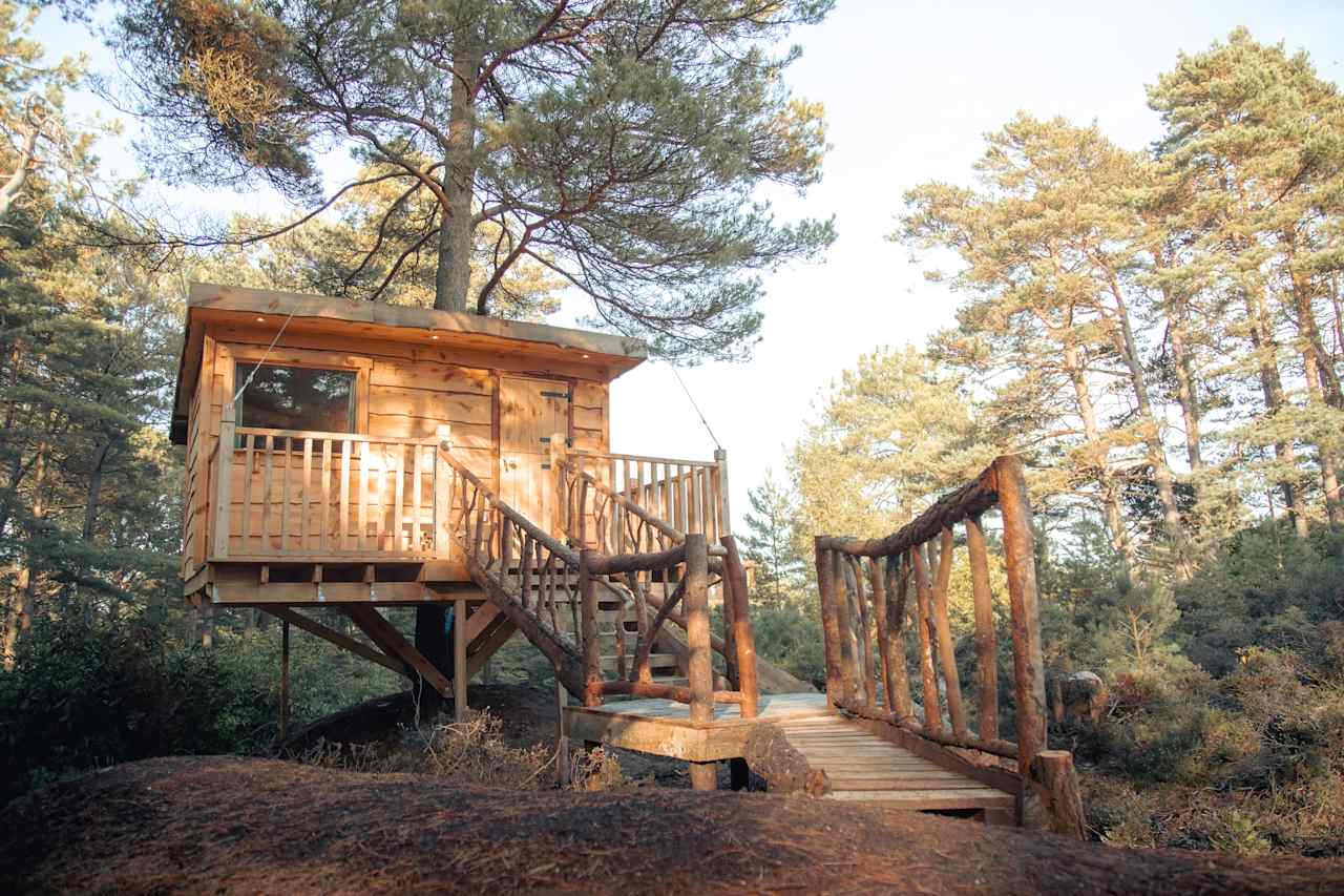 The forest around the treehouses was really beautiful and made for a great place to sit and enjoy the scenery or as a base to explore the surrounding grounds.