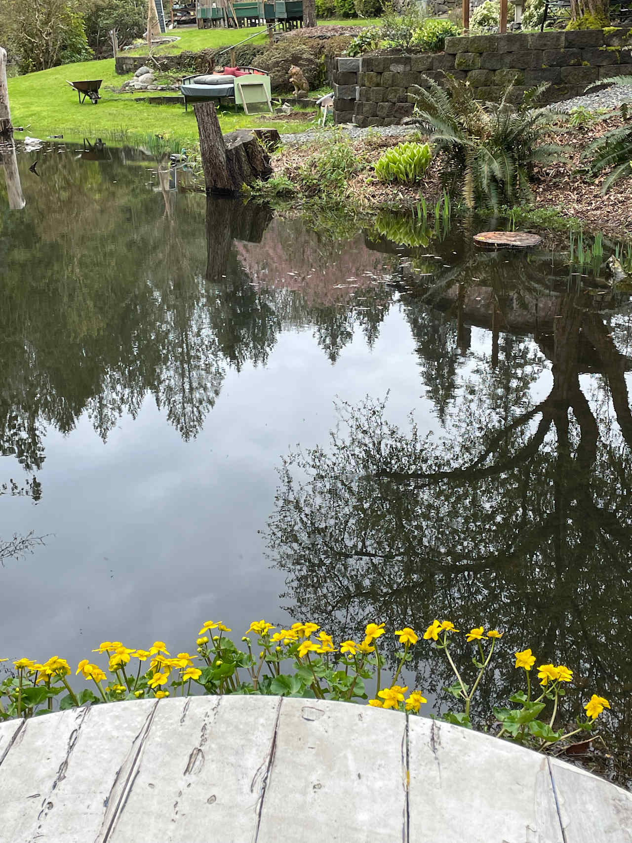 Table by the pond