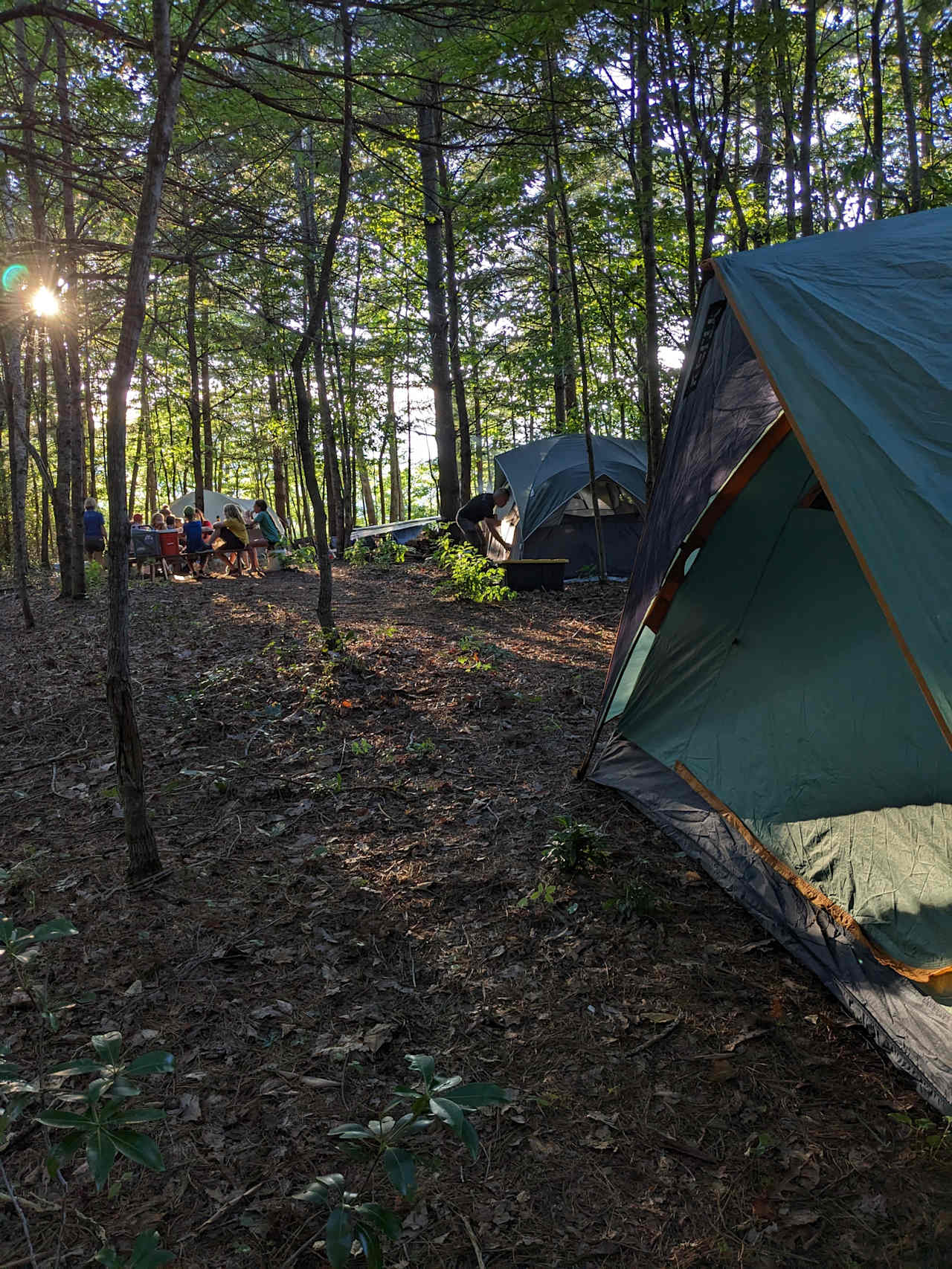 Green Haven Primitive Camping Hipcamp in Etowah North Carolina