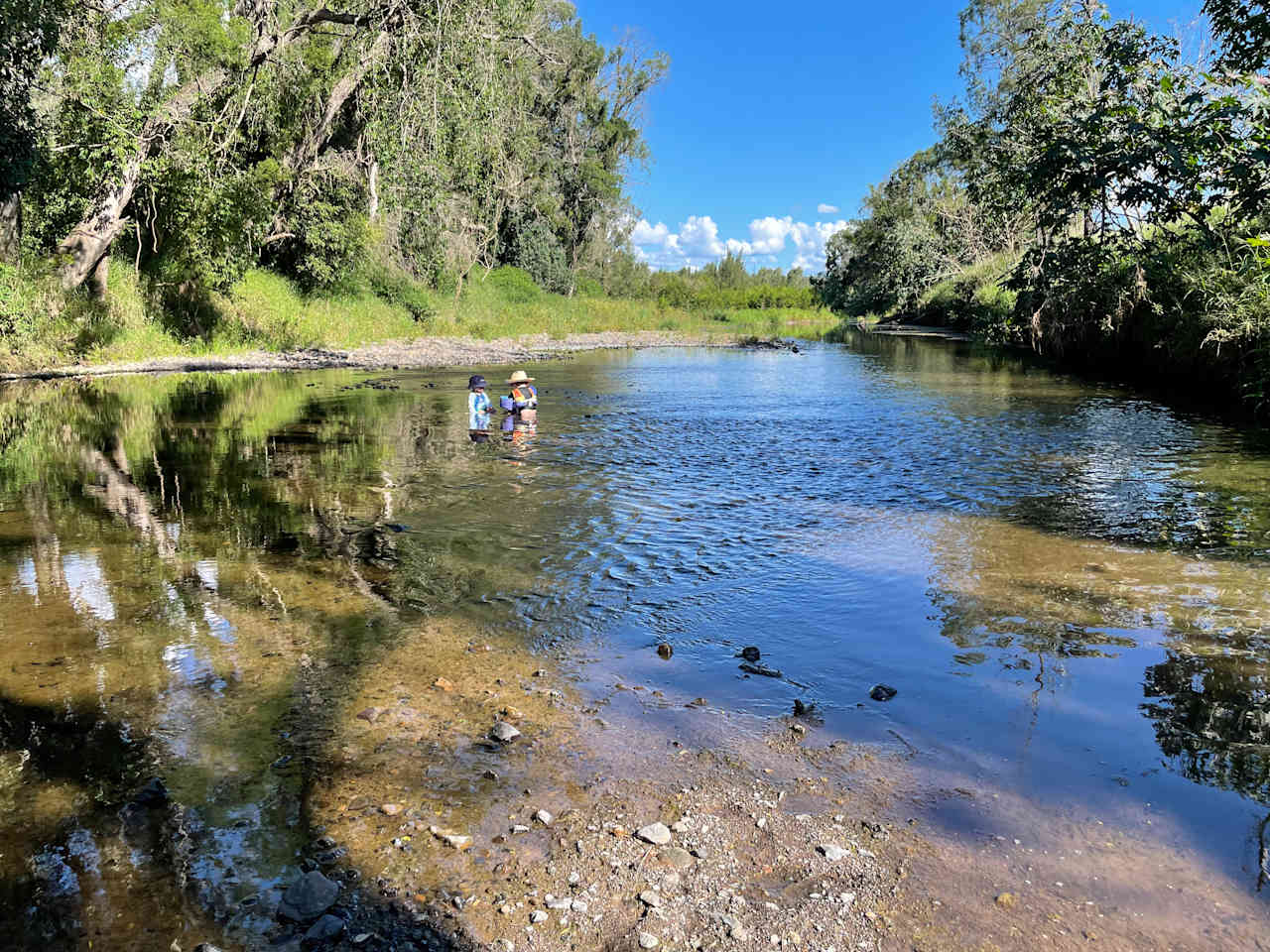 Warrill Creek 