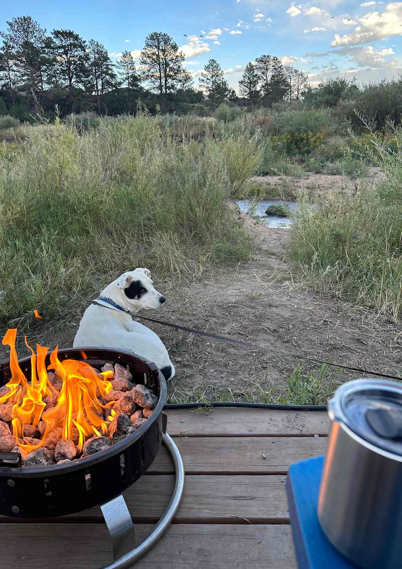 Monument Creek Glamping