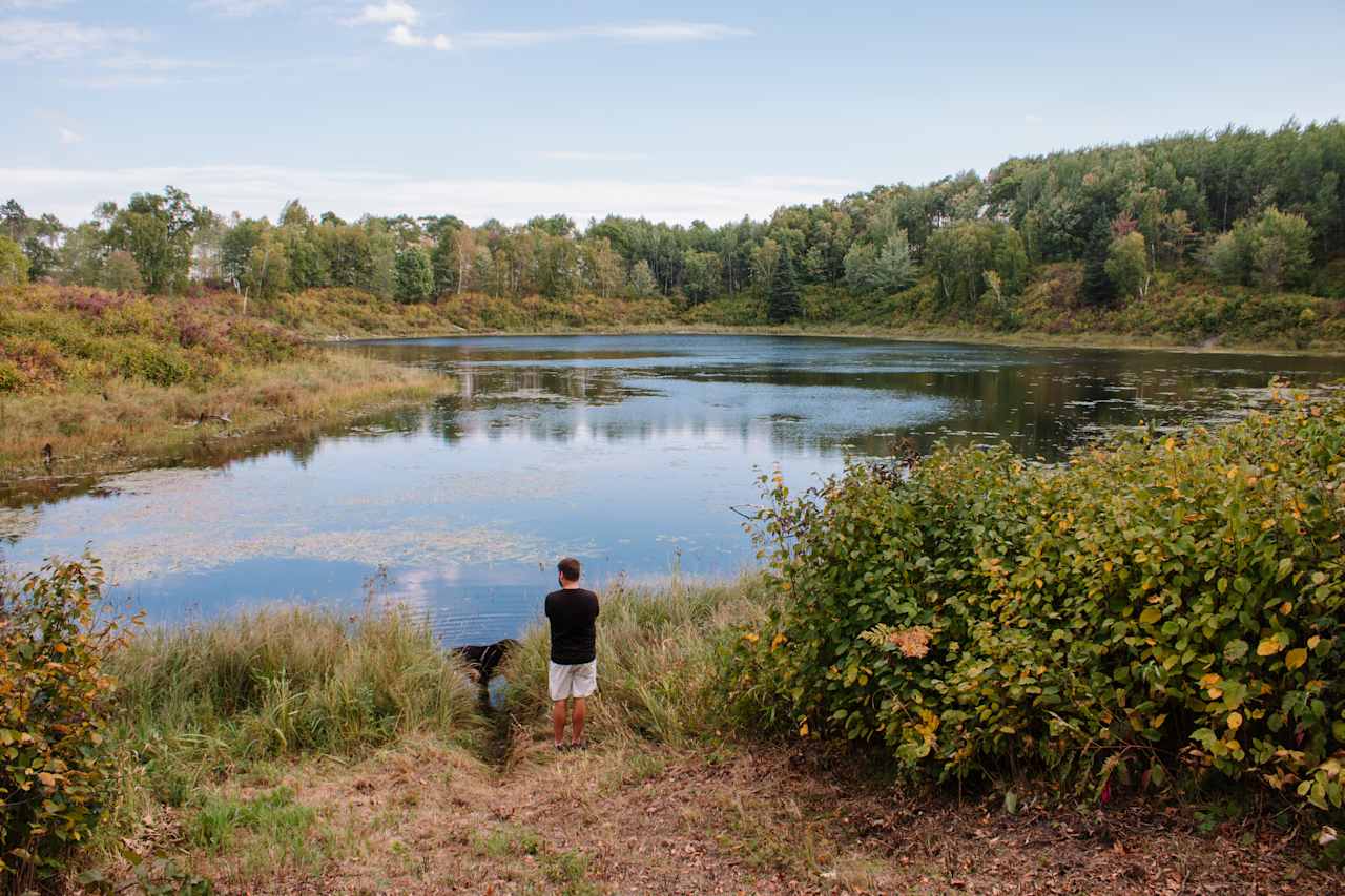 The pond was our dogs favorite park. She spent most of her time looking for frogs and fish. 