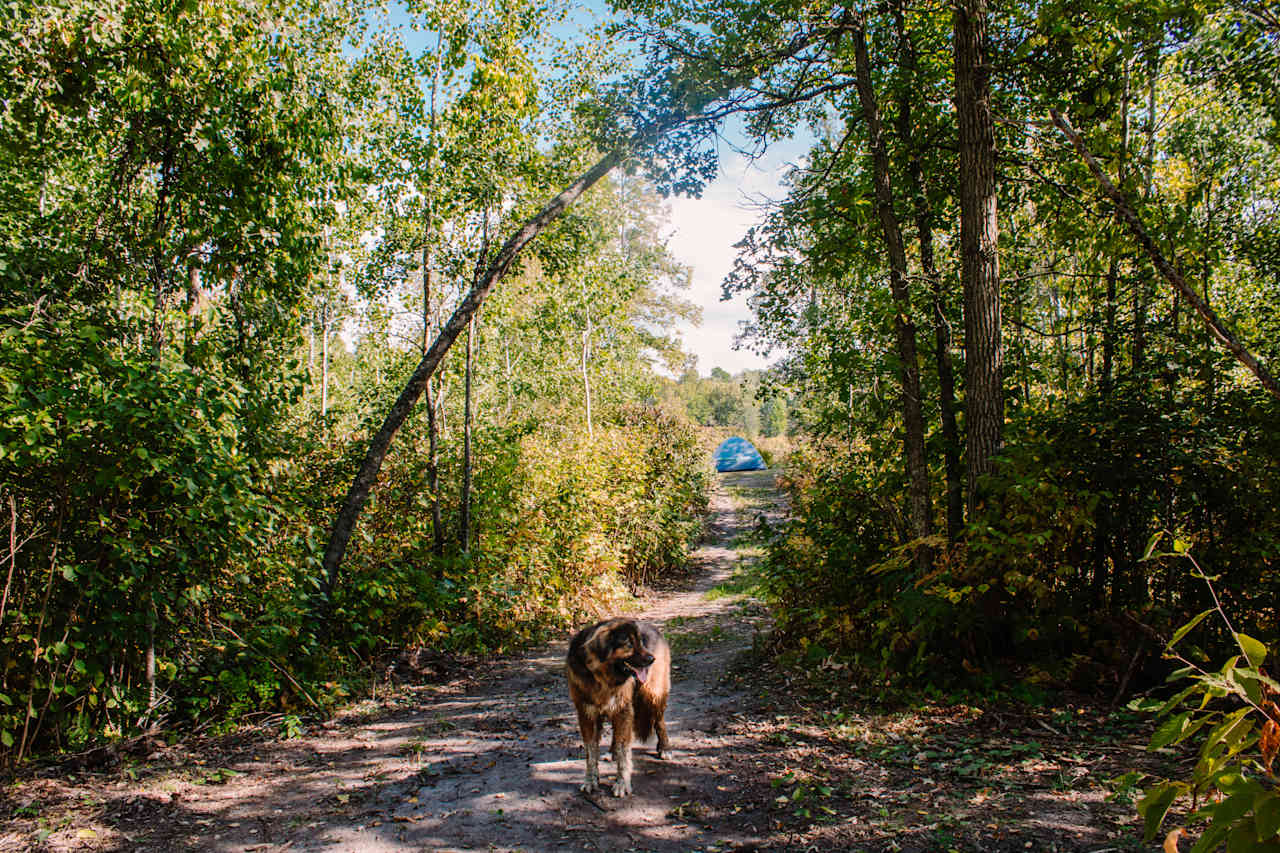 Walking the main trail to the site. 