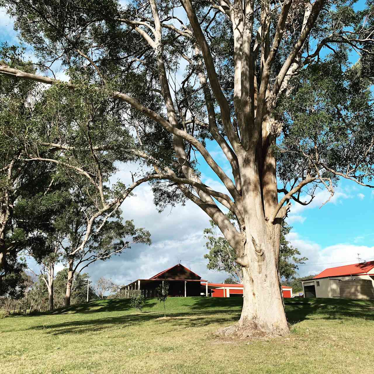 Killarney Nymboida River