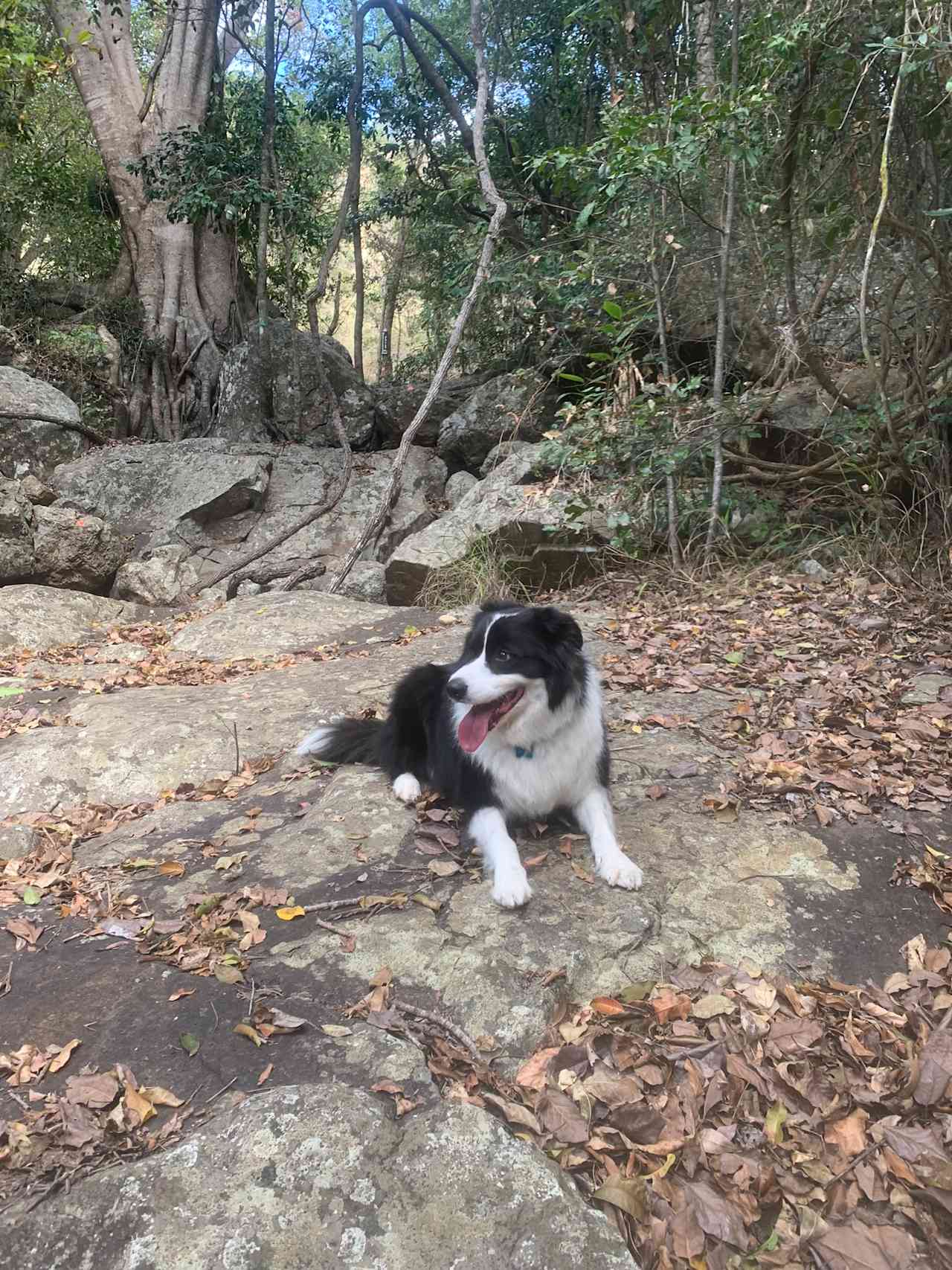 Waterfall Trail