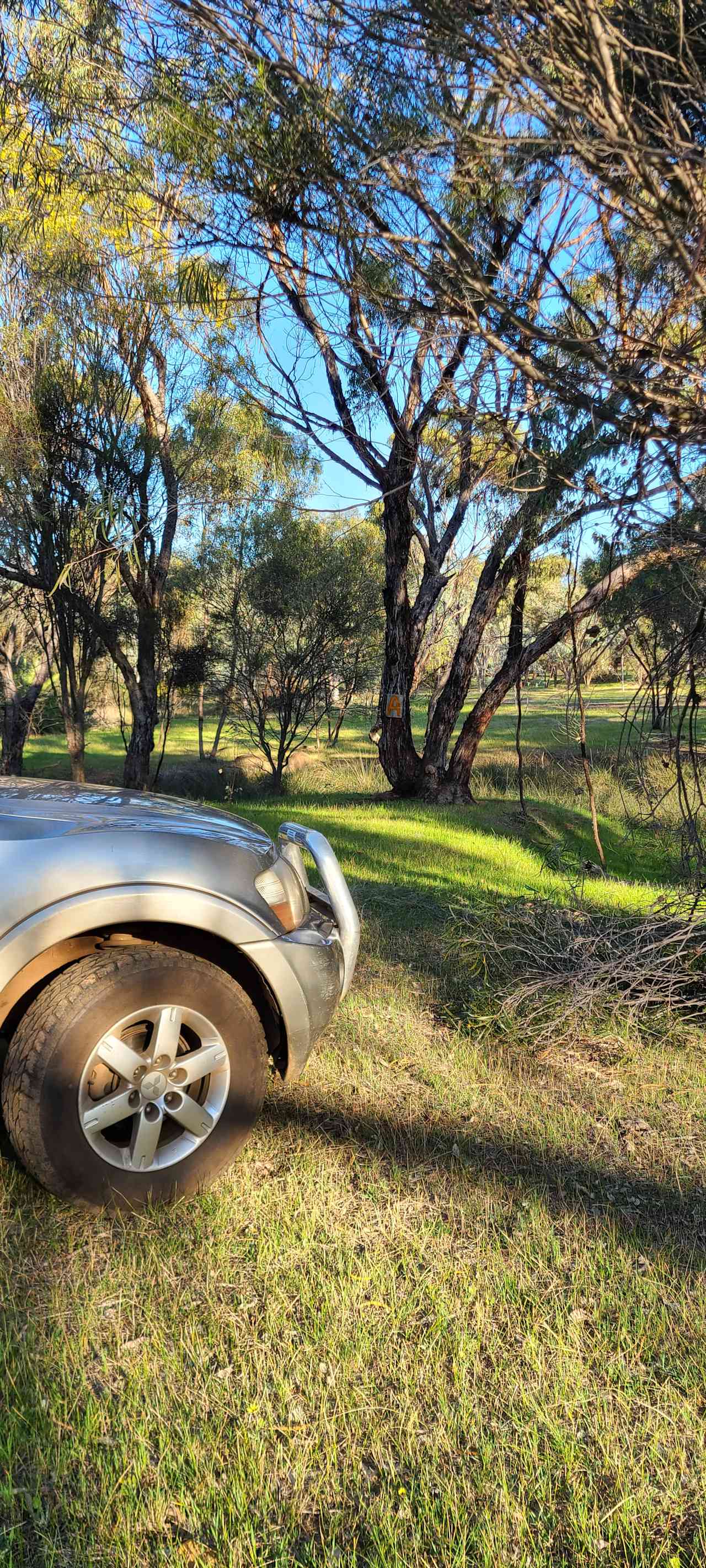 Avonbrook Wheatbelt creekside camp