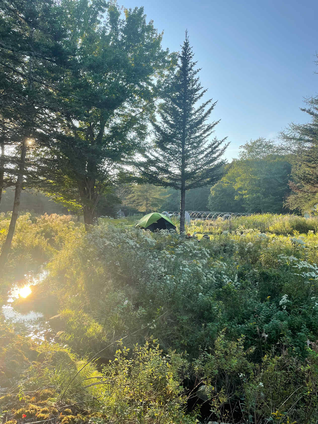 Cabin Creek Farm