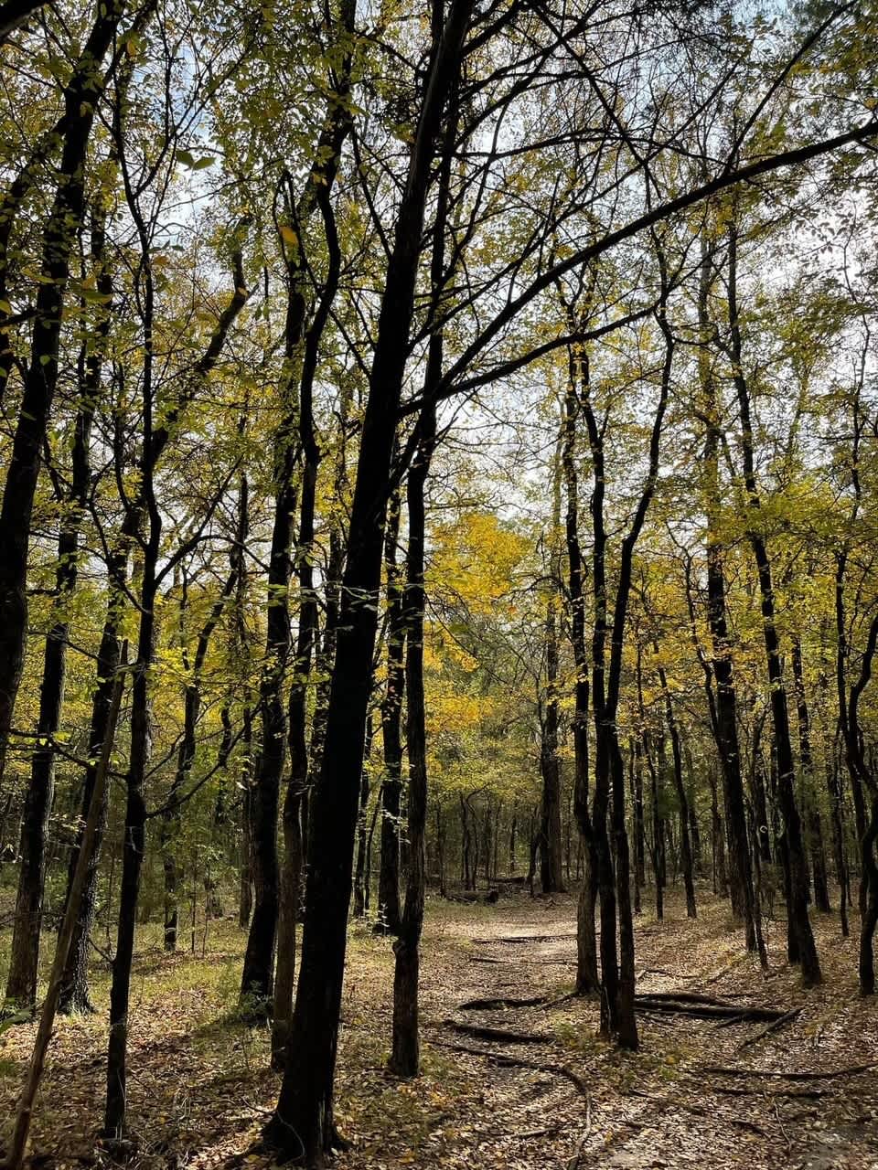 Camp Tonkawa Woods & Horse Camp