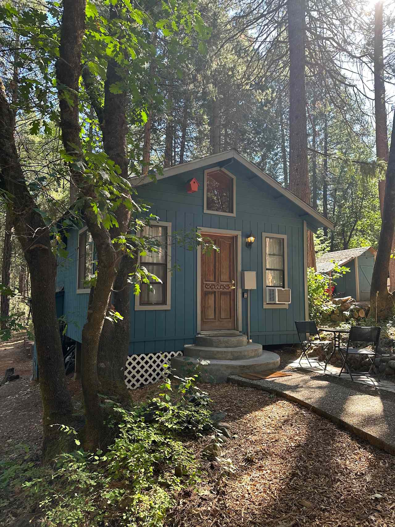 Cabin in the Forest Near Yuba River