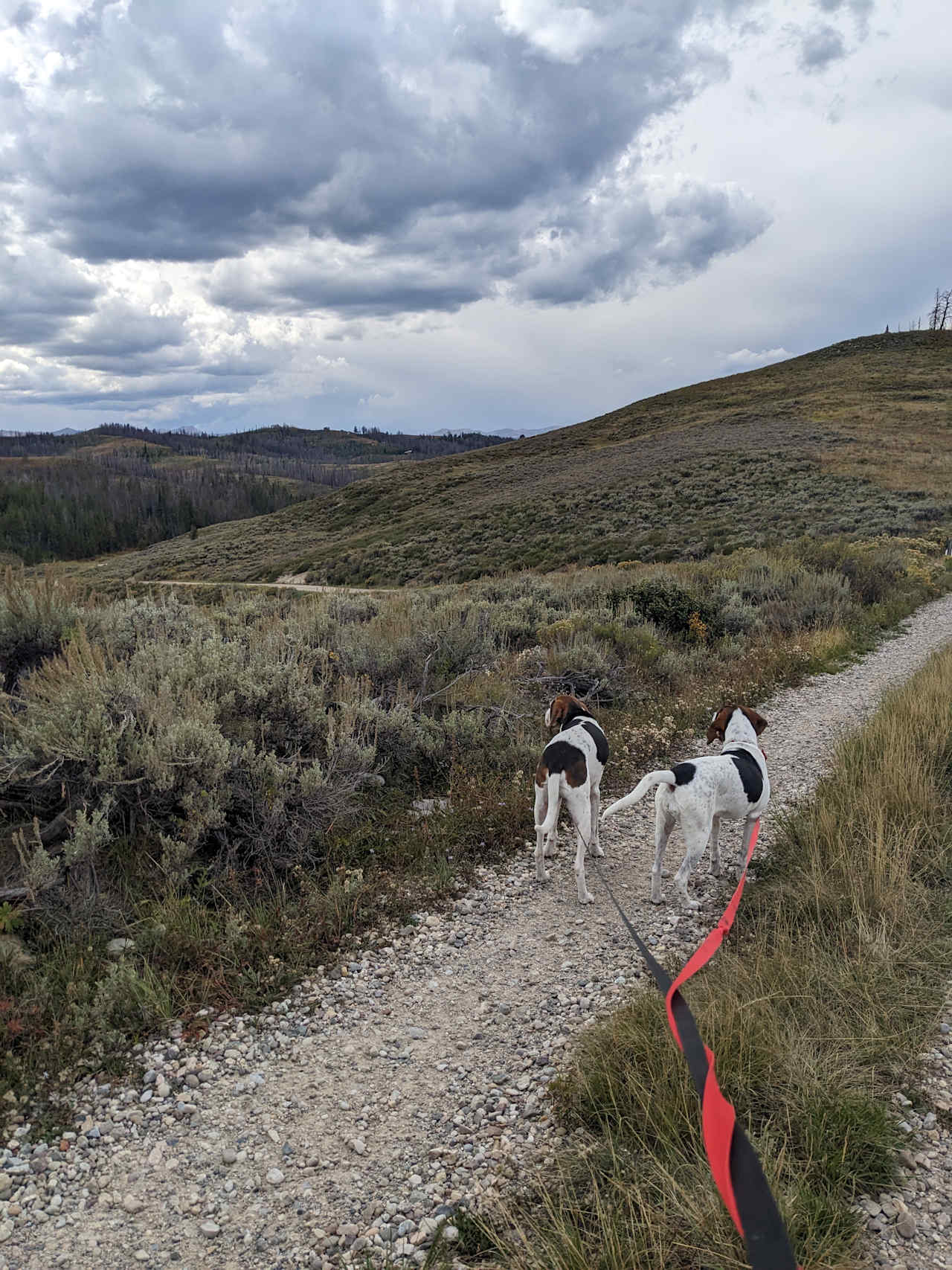 Hoback Hideaway