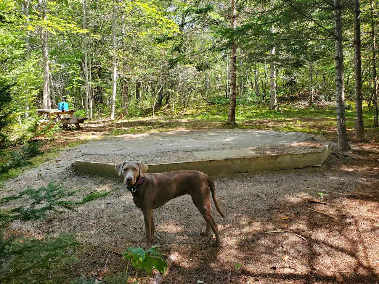 Graham Cracker Cabin and Campsites