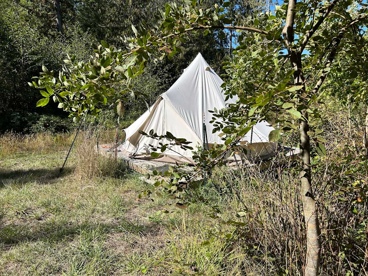 Our yurt