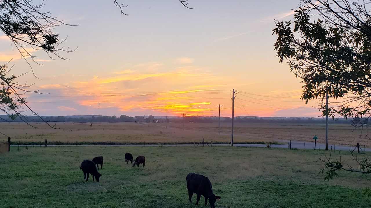 R & T Farms