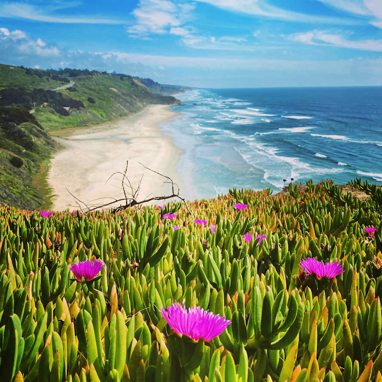 Beach View (Bliss)