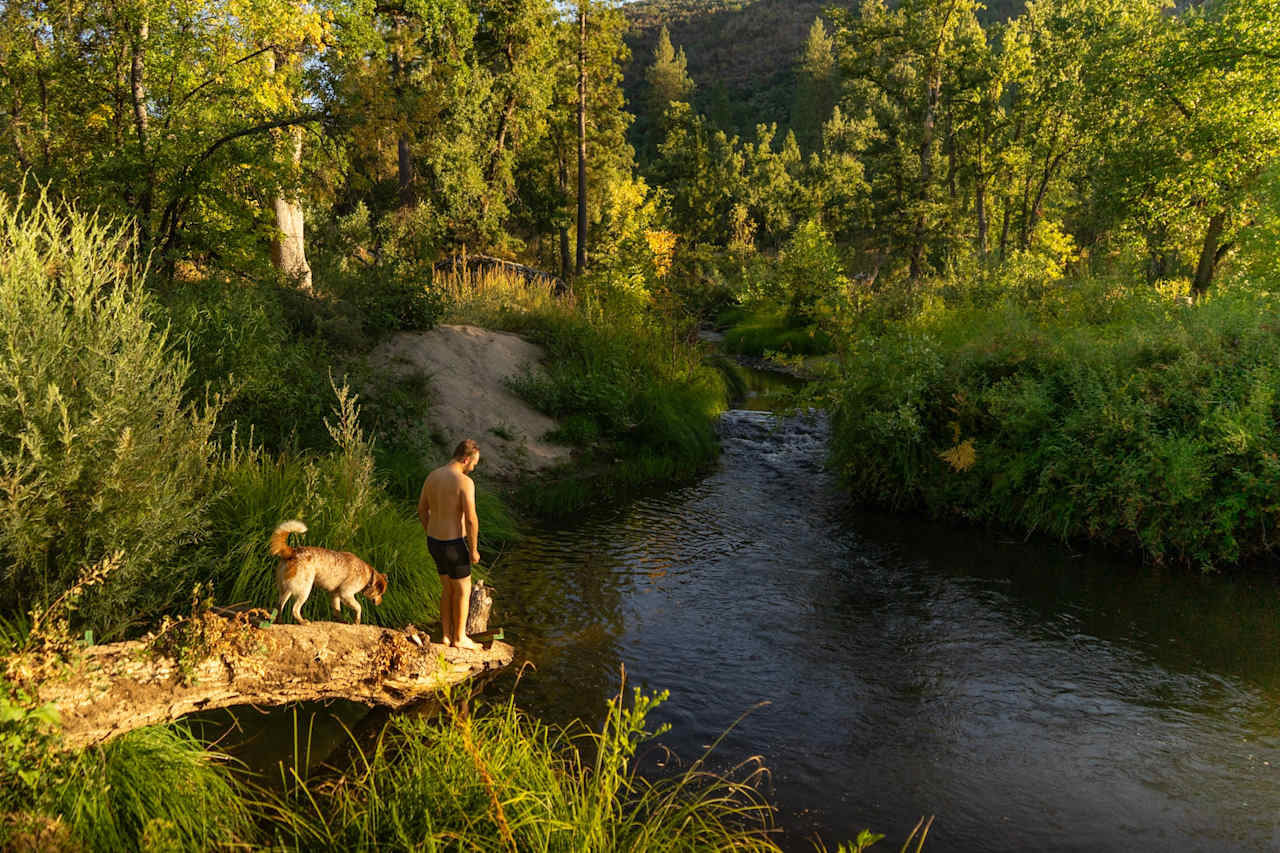 Number 1 activity on the ranch: Jumping in the swimming hole with the camp host's dog, Oakley!