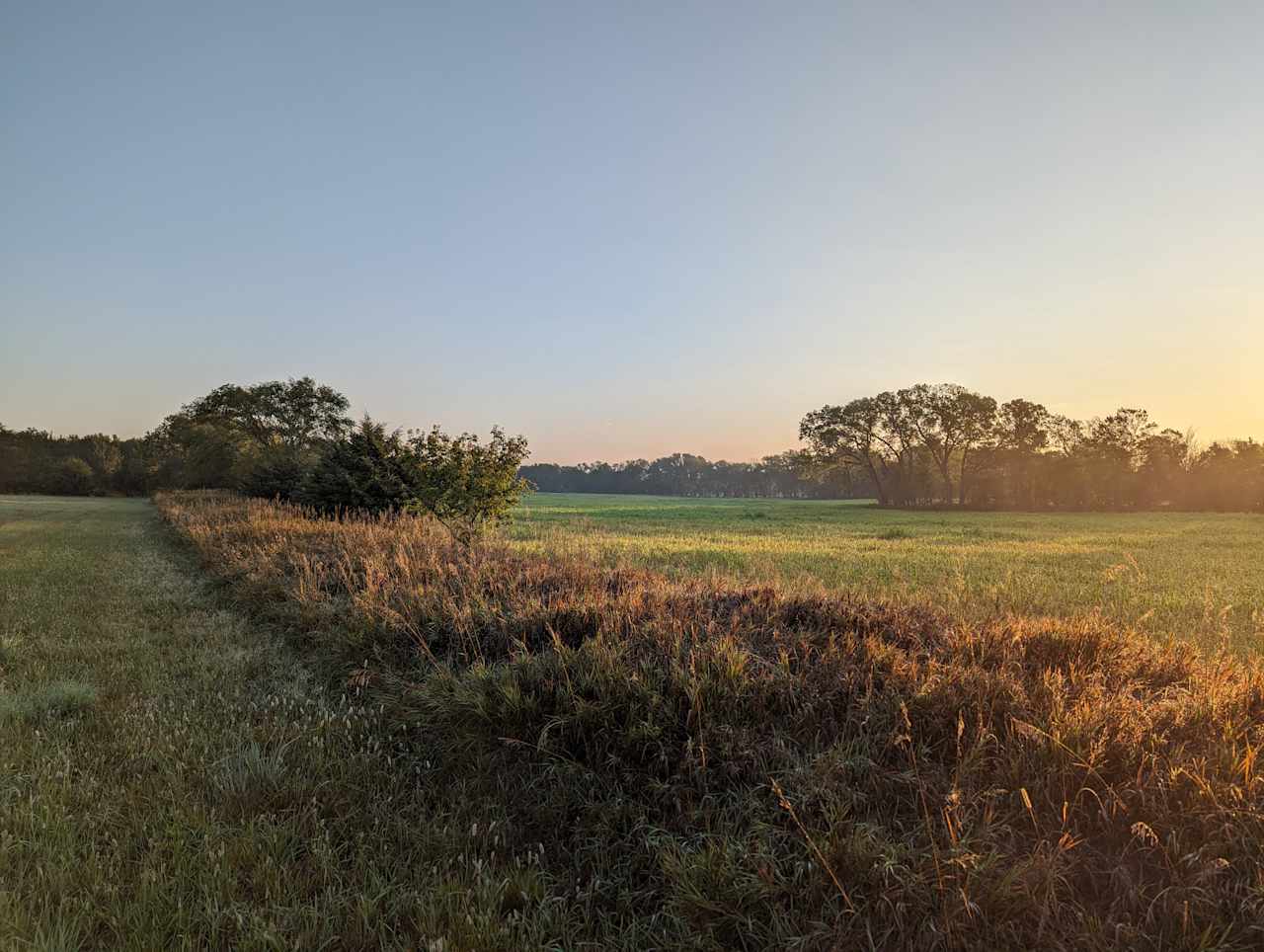 Bearded Gander Farm