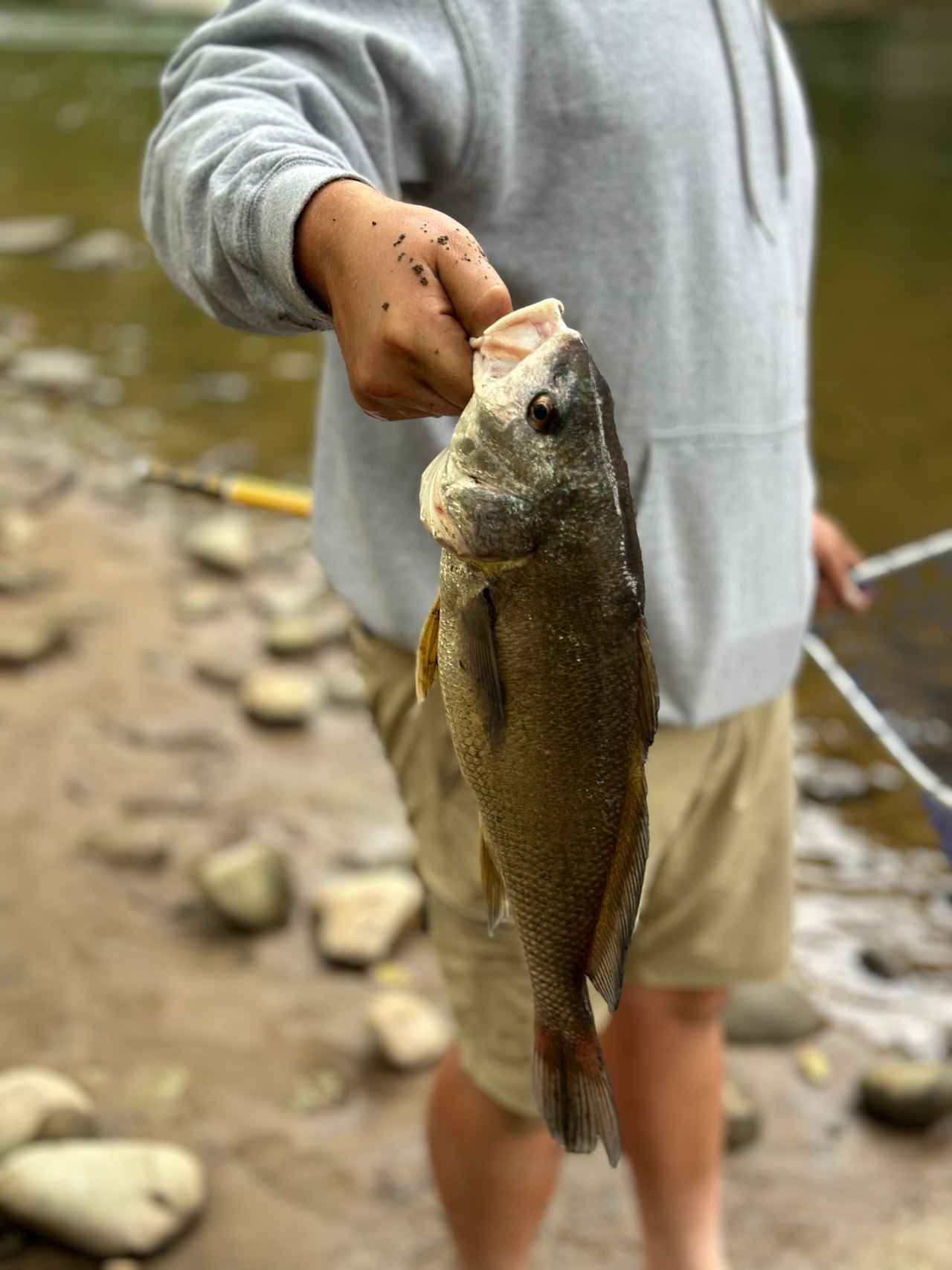 The River Life