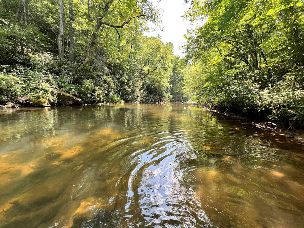 The River