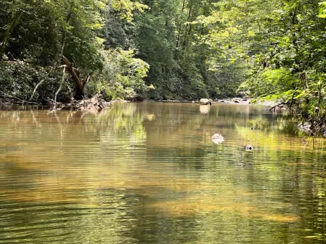 The River