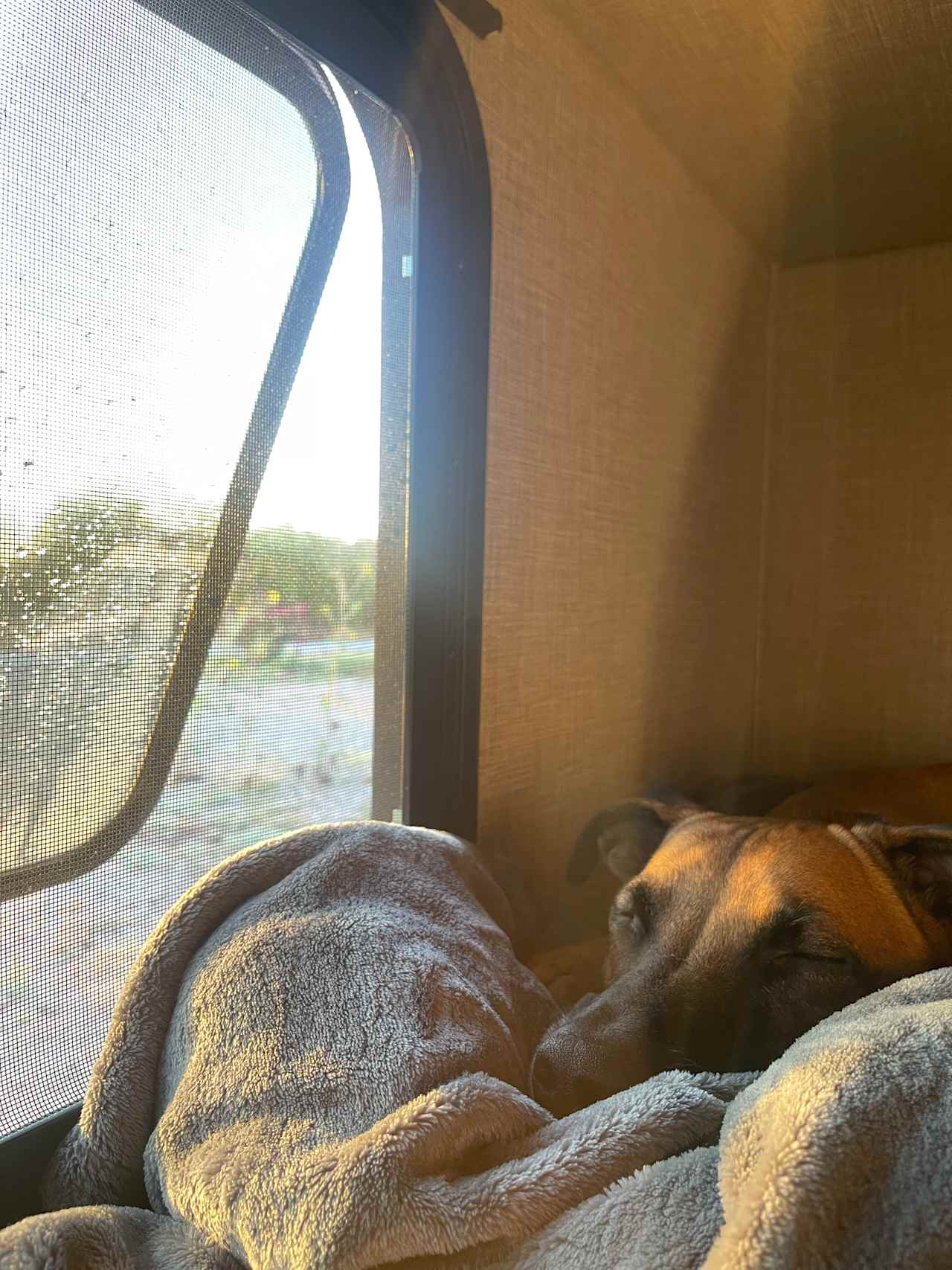 Friends In RV Spaces