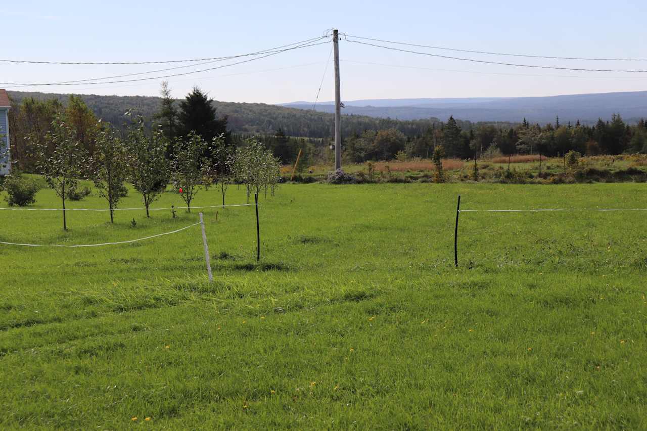 End of walking path (white fencing rods) to tenting area.  The black fencing rods mark one of the entrance points to the tenting area.