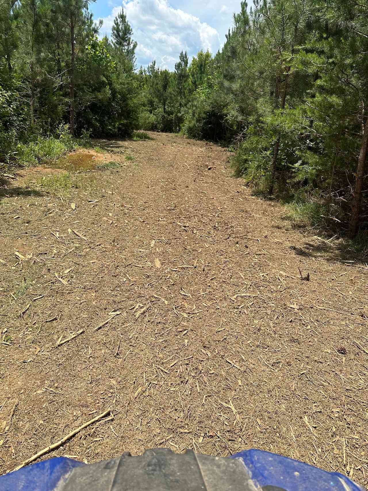Bushwoods