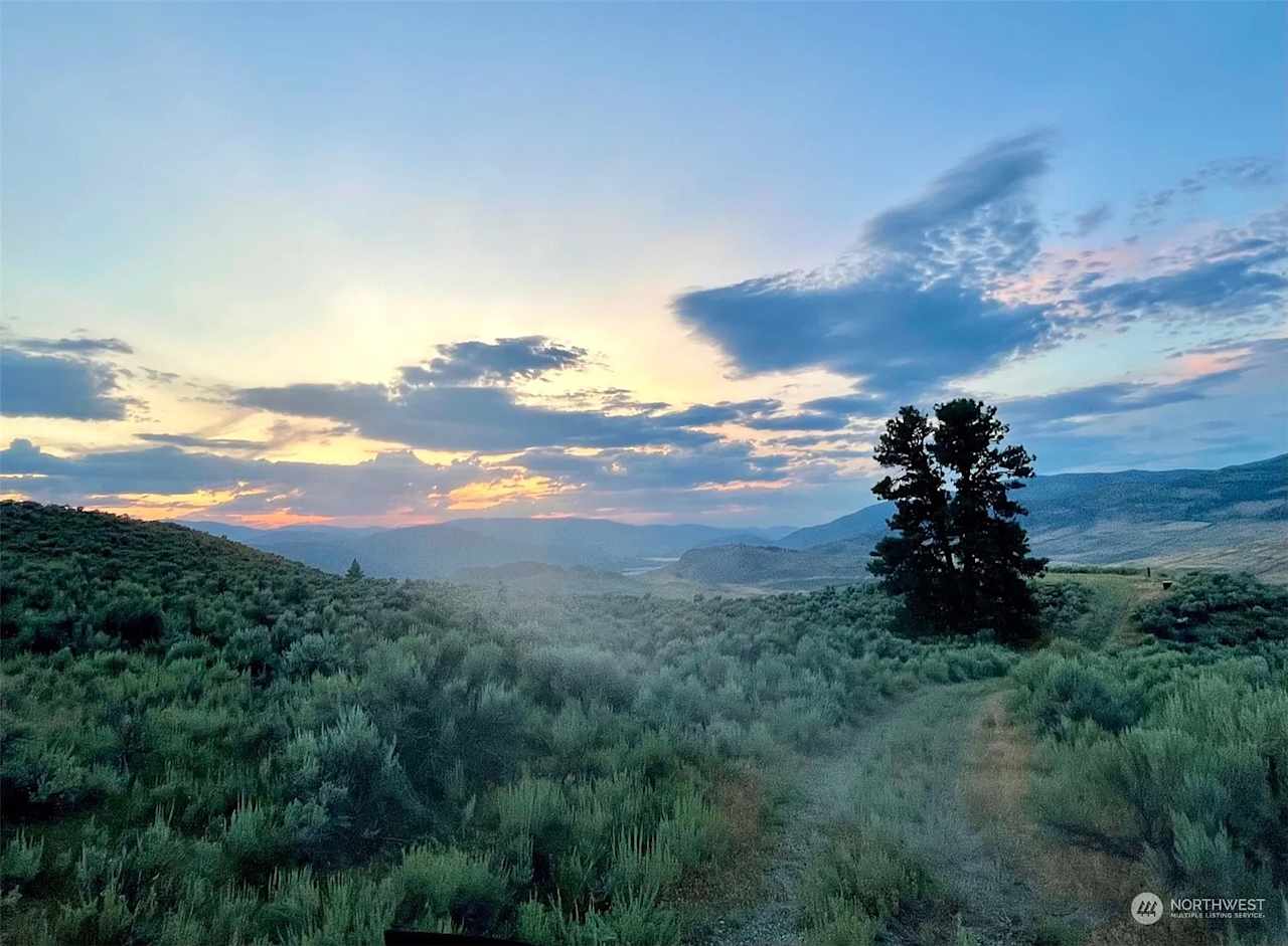 A picture of the site looking North/North West. Sagebrush on the driveway has been mowed.