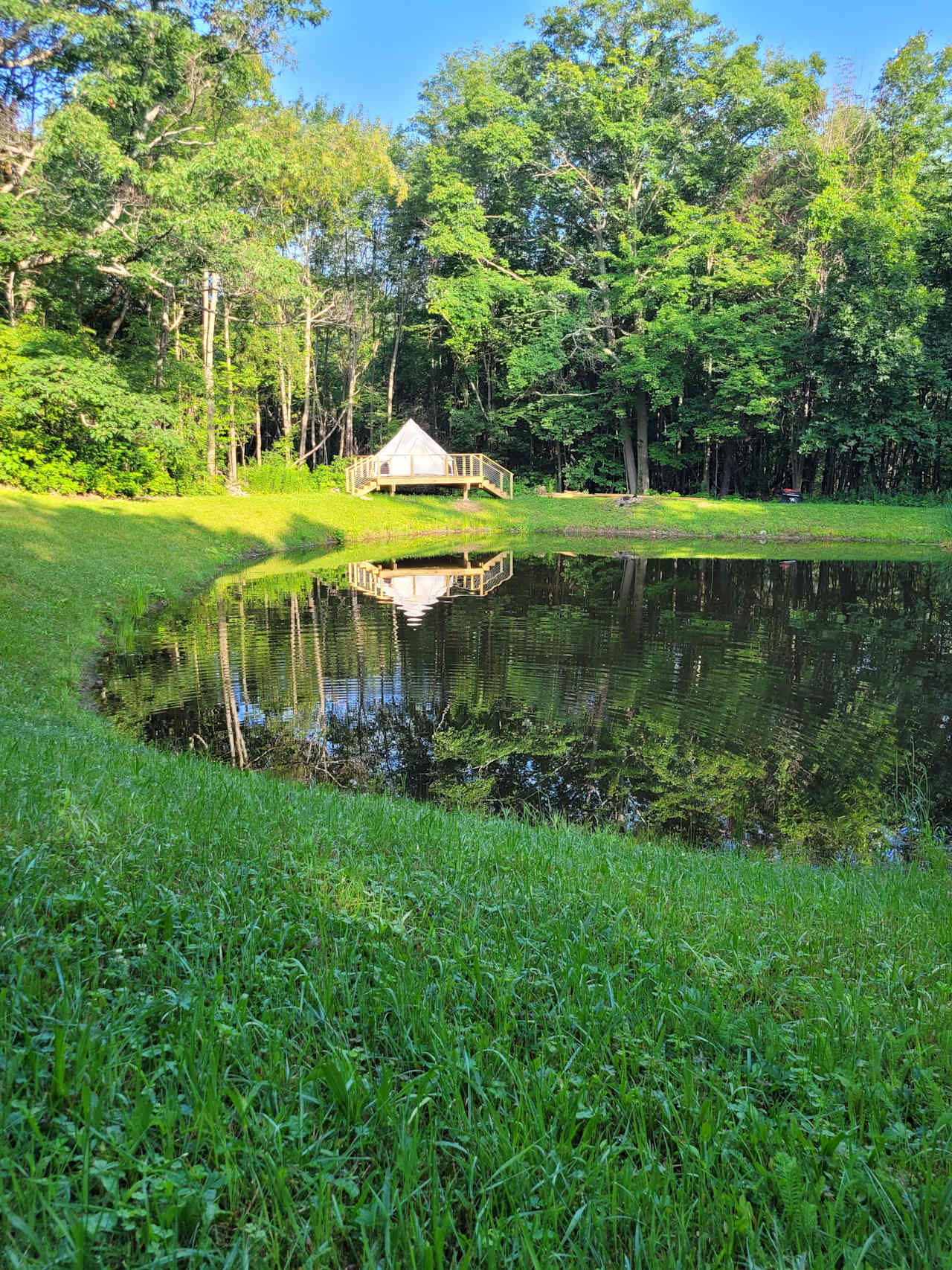 The Willow as viewed from the far side of the pond.