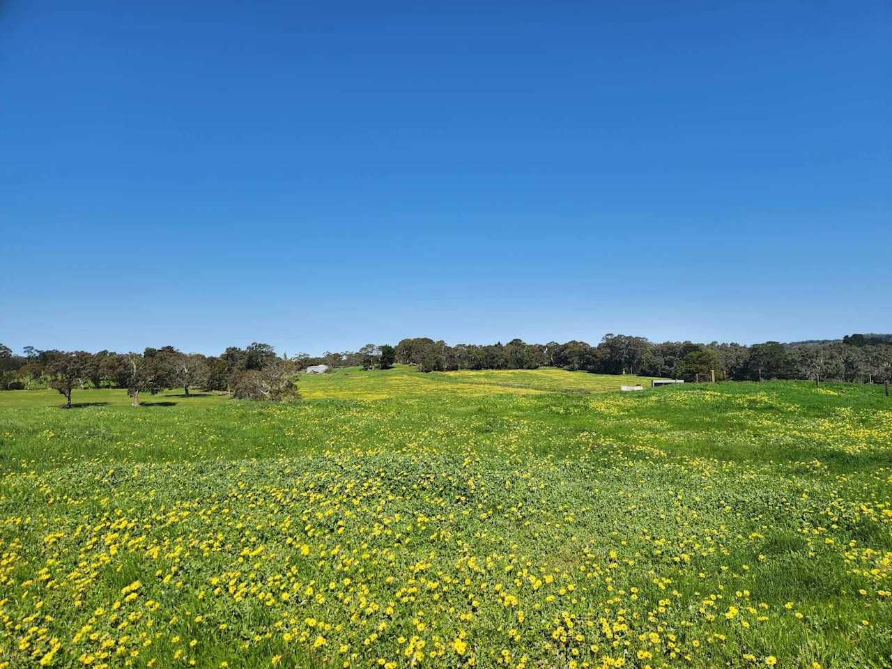 Private campsite with 360 degree views